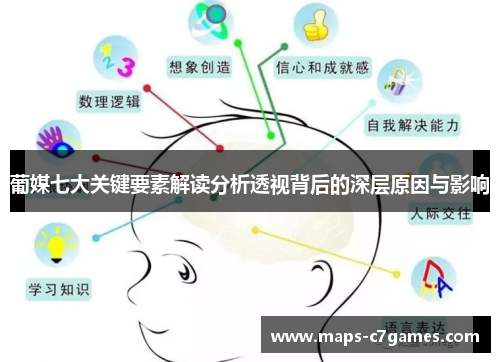 葡媒七大关键要素解读分析透视背后的深层原因与影响